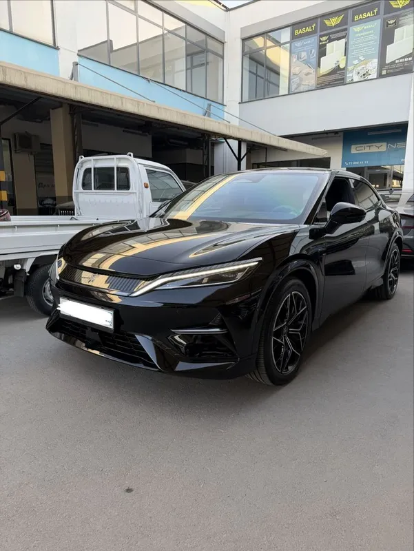Byd song L full 2024