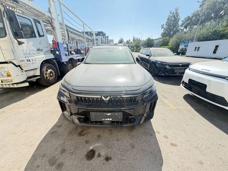Voyah Free 318 Apollo Tech awd 2024 1