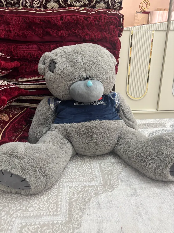 teddy ayiq 1 teddy ayiq 1