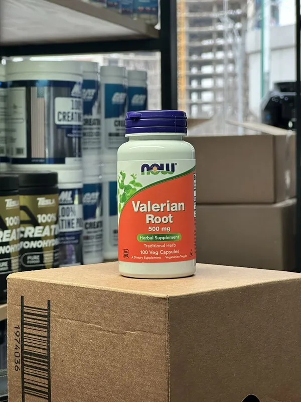 Now Valerian Root 500 mg, 100 kapsula 1 Now Valerian Root 500 mg, 100 kapsula 1