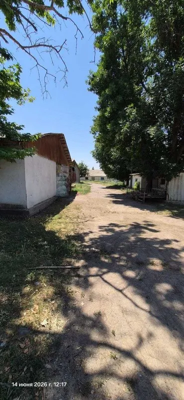 Продаётся! Животноводческая ФЕРМА И производственная БАЗА — фото 6