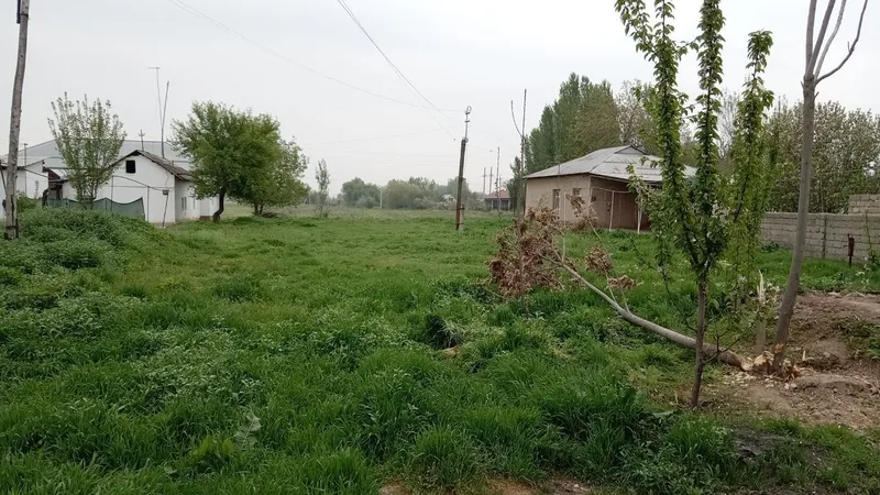 Yangi Toshkent yer uchaska sotiladi 13,sotix arzon bervomman