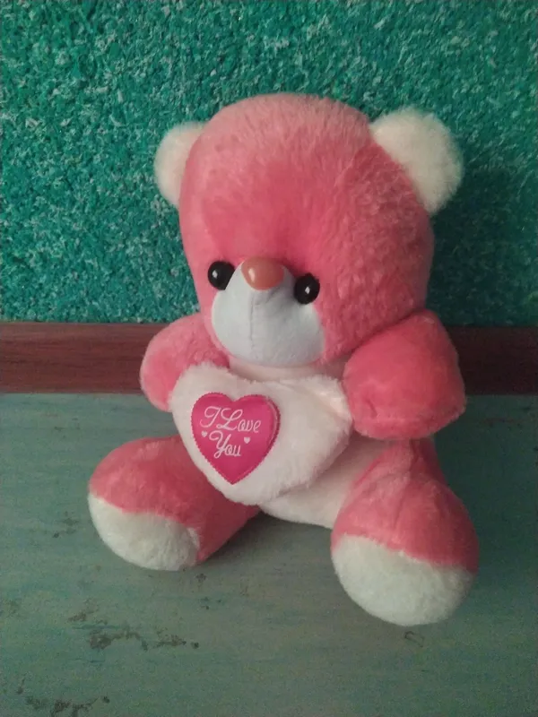 ayiqcha (teddy) 1 ayiqcha (teddy) 1