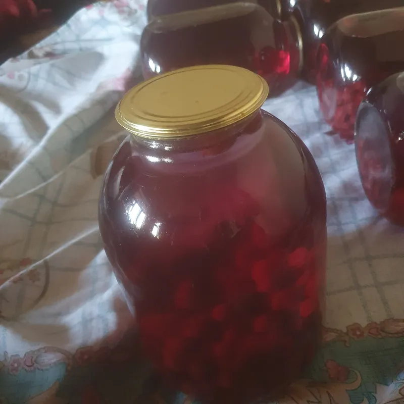 olchali kompot 1 olchali kompot 1