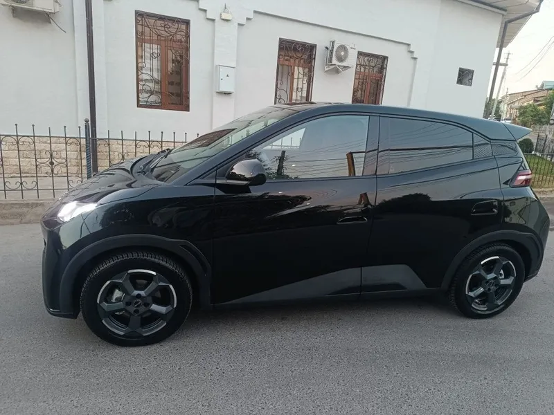 BYD seagull qora idial