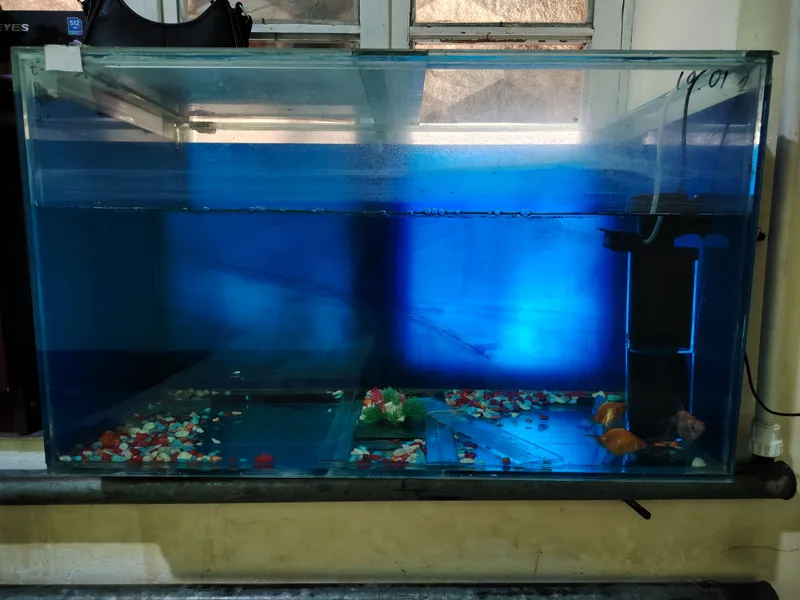 akvarium