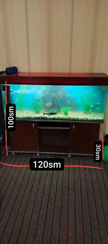 Akvarium 280 litr