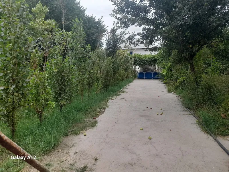 Бу́ш эр сотилади — фото 2