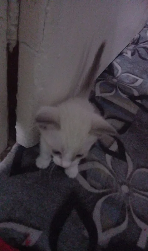 Hadiyaga beriladi 8 Hadiyaga beriladi 8