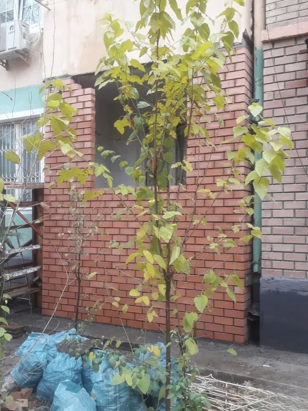 Кладка, ремонт и подключение балконов 2 Кладка, ремонт и подключение балконов 2