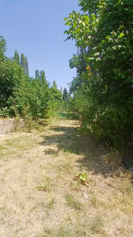 Сижжакда природали жойдан ховли йер сотилади — фото 3