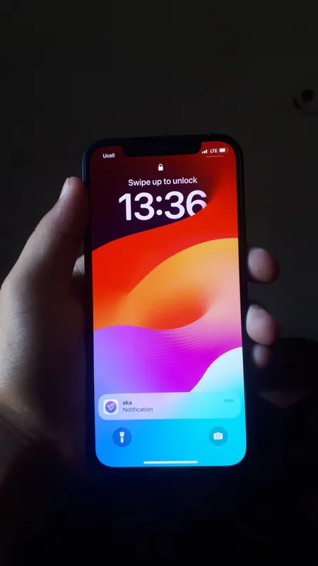 apple12 2 apple12 2