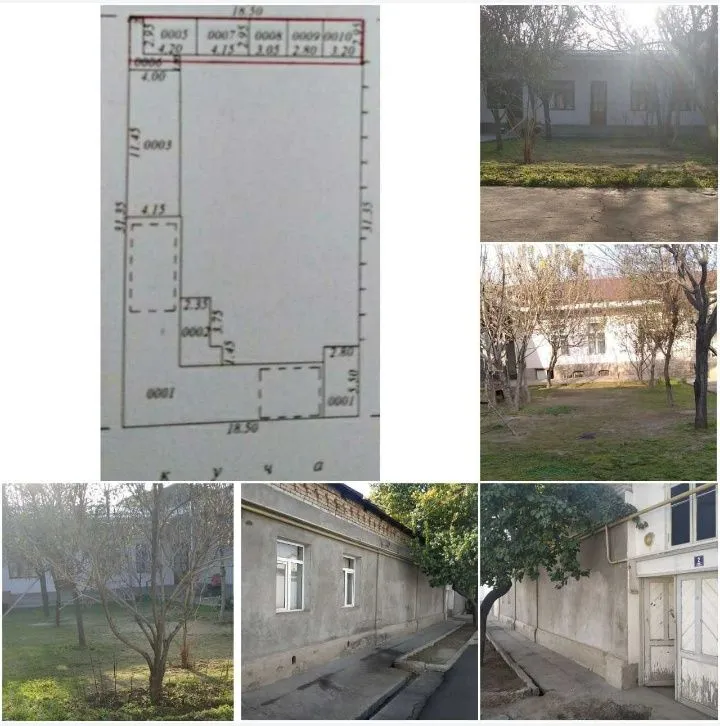 Shayxontohur tumani Tinchlik koʻcha