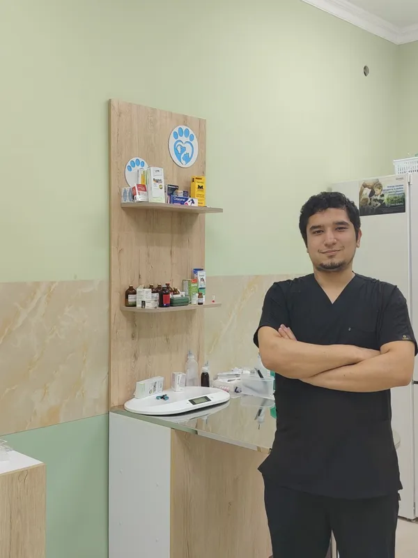 Mushuklaringiz sog'lig'ini oylovchi veterinar doctor