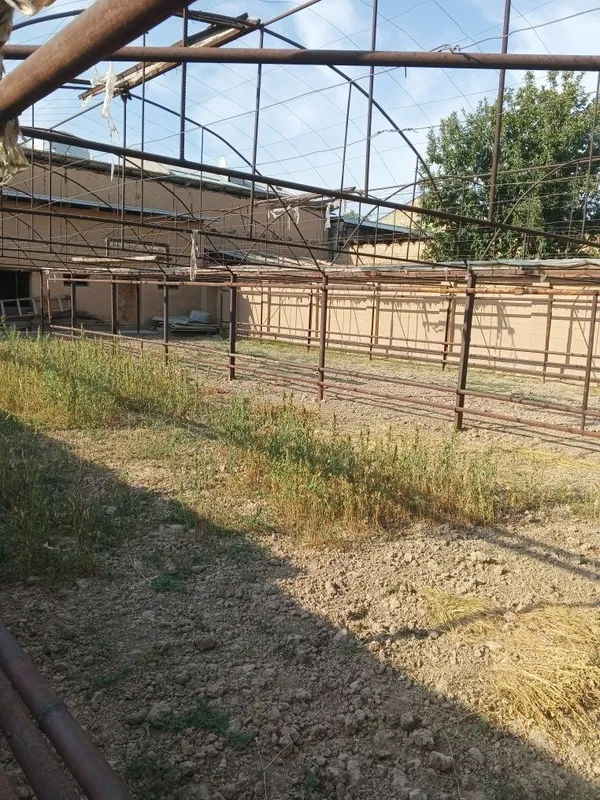 Теплица сотилади — фото 1