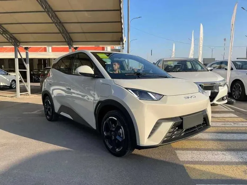 BYD Seagull Продажа за наличные и халяльная продажа в рассрочку 1 BYD Seagull Продажа за наличные и халяльная продажа в рассрочку 1