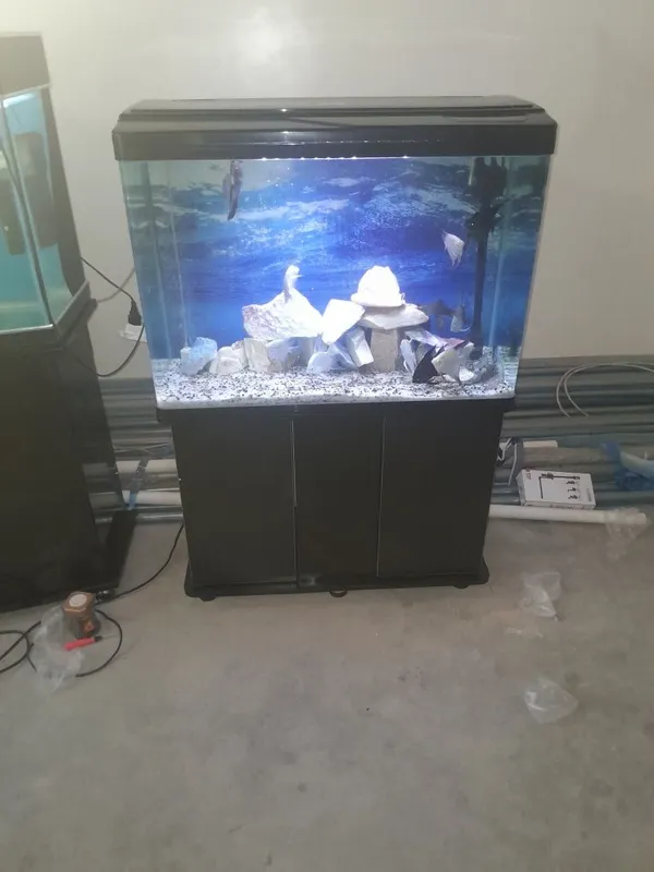 Akvarium 250 litr 6 oyna Qôship beraman dõmik Tosh filter chipiyõn s