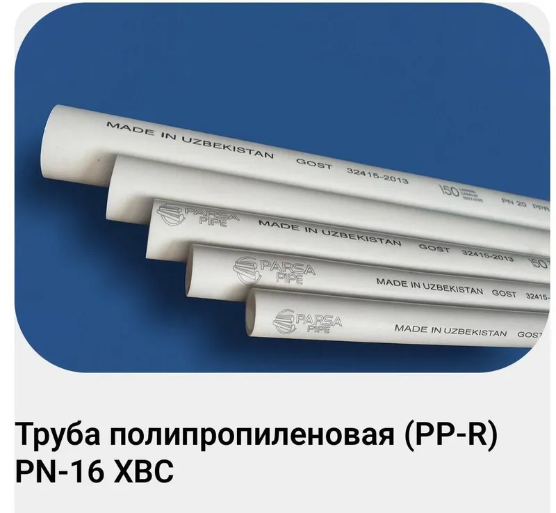 Производство PARSA GOODS PP-R 200 — фото 1