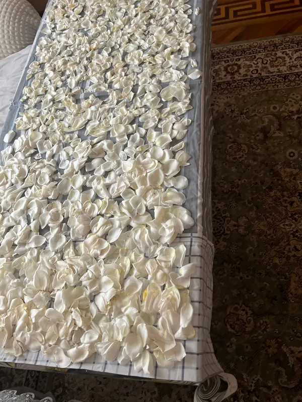 Лепестки роз