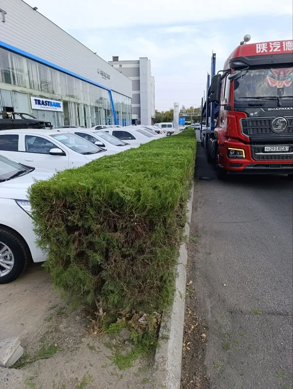 Арча кесиш хизмати ва газон икиш дорилаш хизмати 6 Арча кесиш хизмати ва газон икиш дорилаш хизмати 6