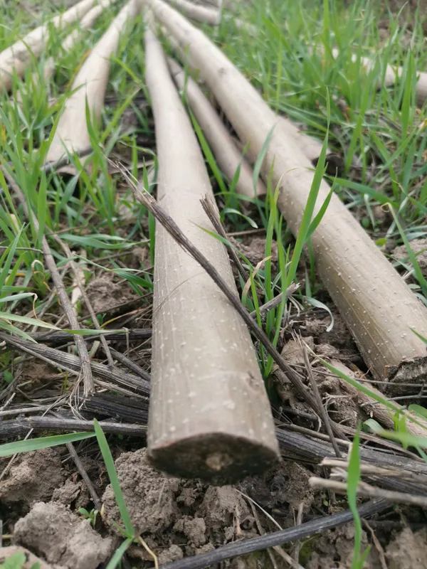 Продаю готовый агробизнес «под ключ»