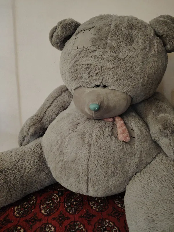teddy katttasi teddy katttasi