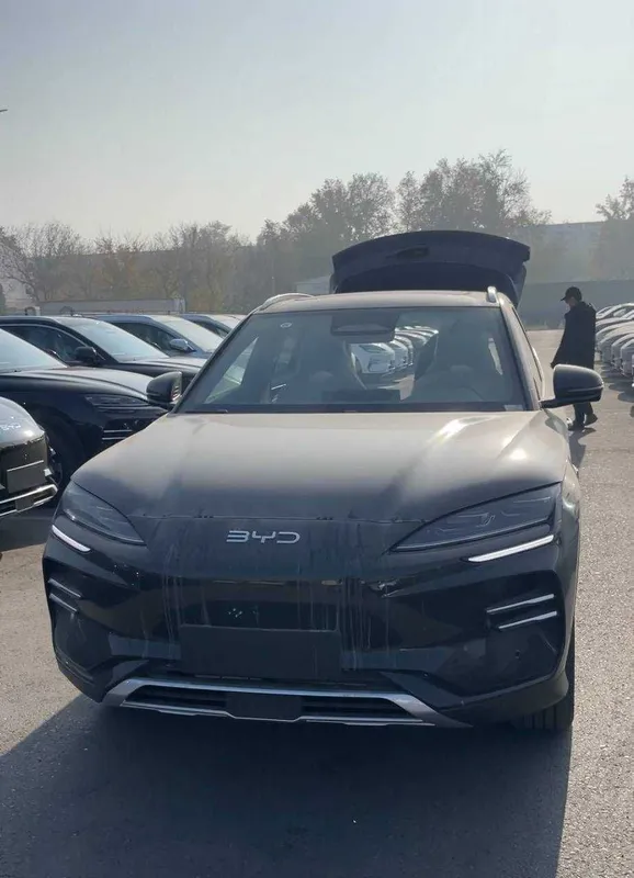 BYD chempion ulgurib qolamz 5
