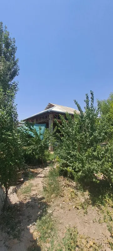 Курулиши тугалланмаган каропка шаклдаги ховли — фото 4