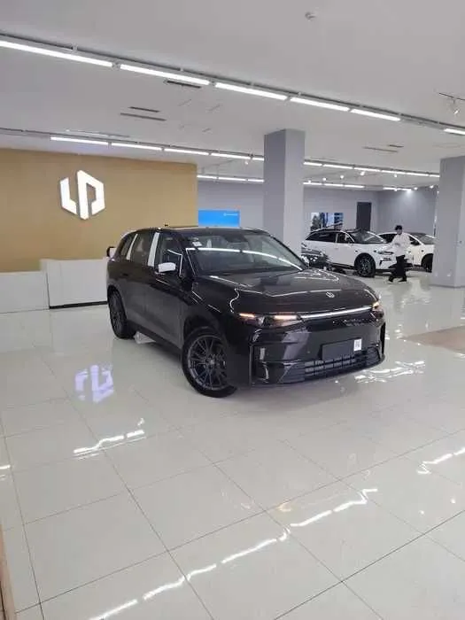 leapmotor c10 primuim dop 4 leapmotor c10 primuim dop 4