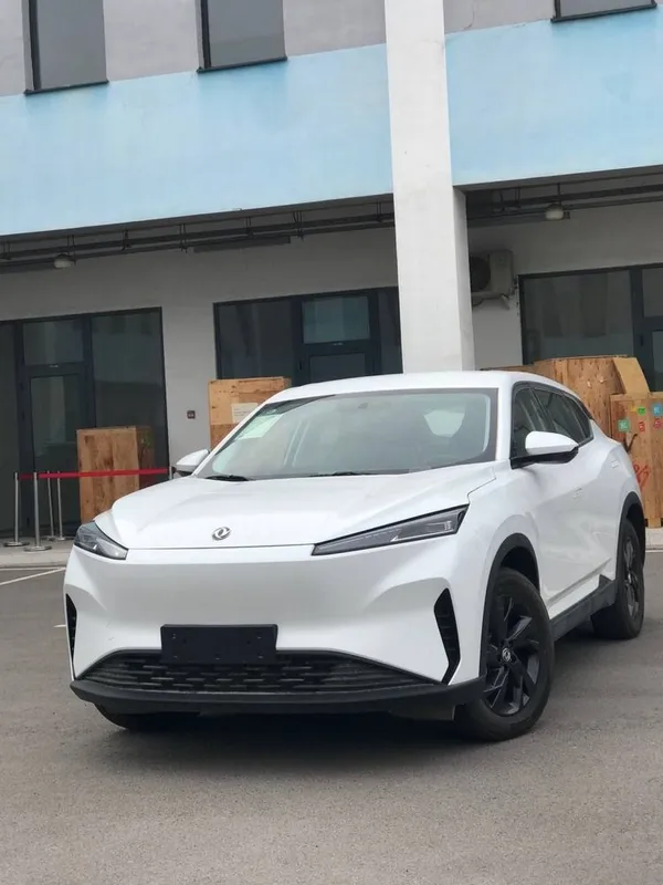 Dongfeng Sky EV 01