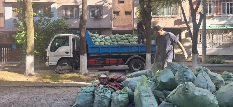 Кампот клинец кум — фото 1