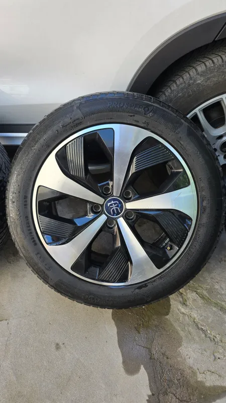BYD zavod diskasi 6
