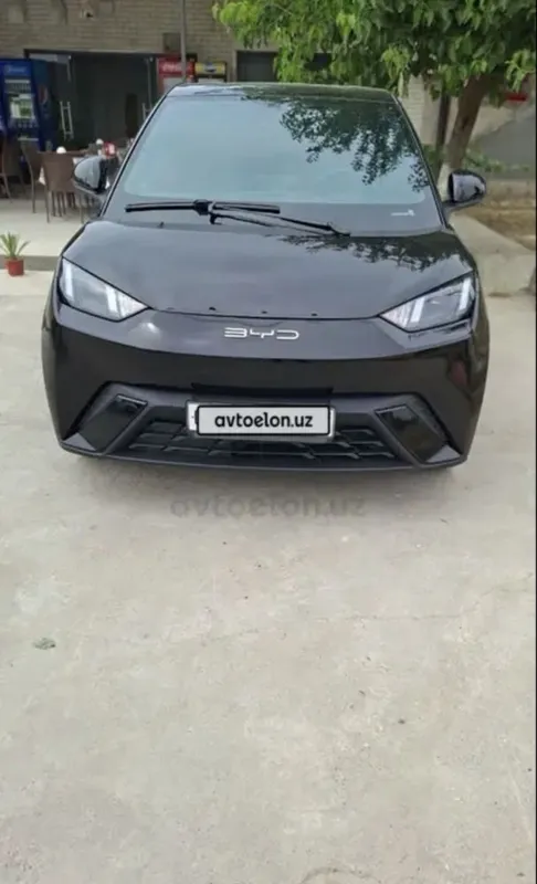 Bevadi segul 2023 sotiladi