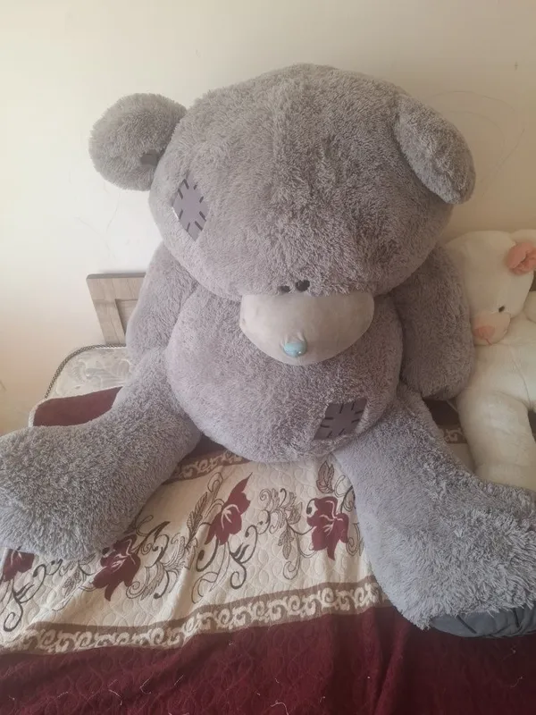 Teddy katta 2 mert bo Teddy katta 2 mert bo