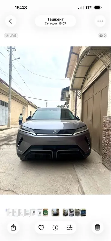 BYD, Yang Up 2024