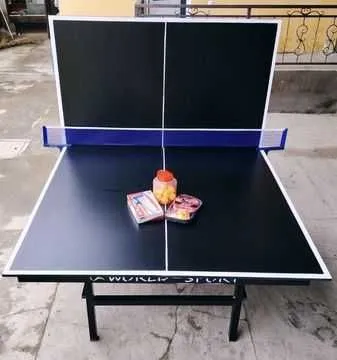 . Теннисный стол /ping pong 1 — фото 1