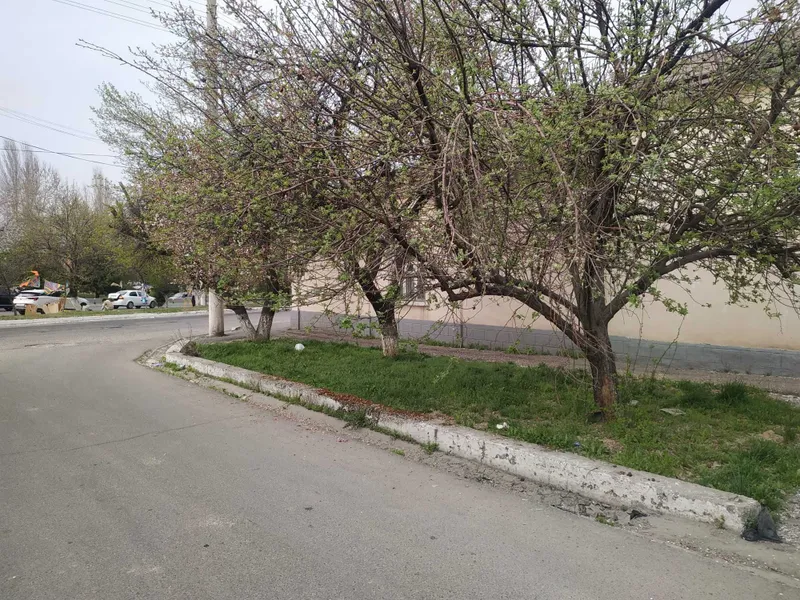 Kotta yol yuzida Shofayz mostda uy sotiladi — фото 2
