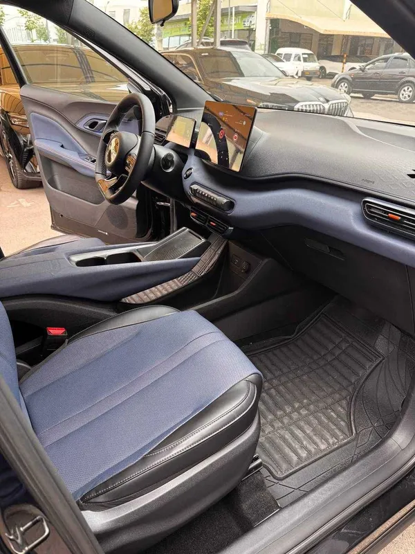 BYD SEAGULL FULL 2023й краска тозза — фото 2