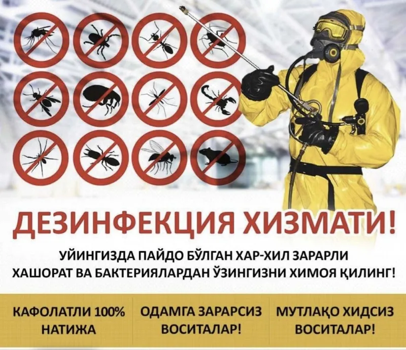 Dizenfeksiya dizenseksiya xizmati — фото 1