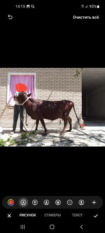 Срочно срочно сотаман