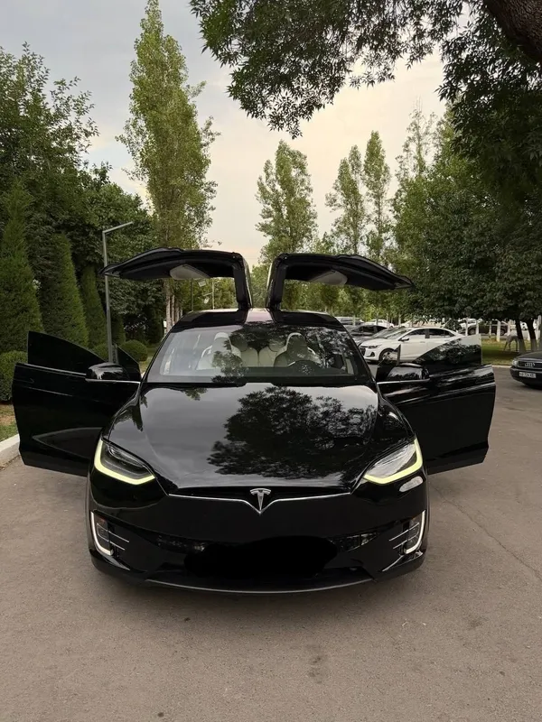 Tesla Model X Perfomance Duall Motor 1