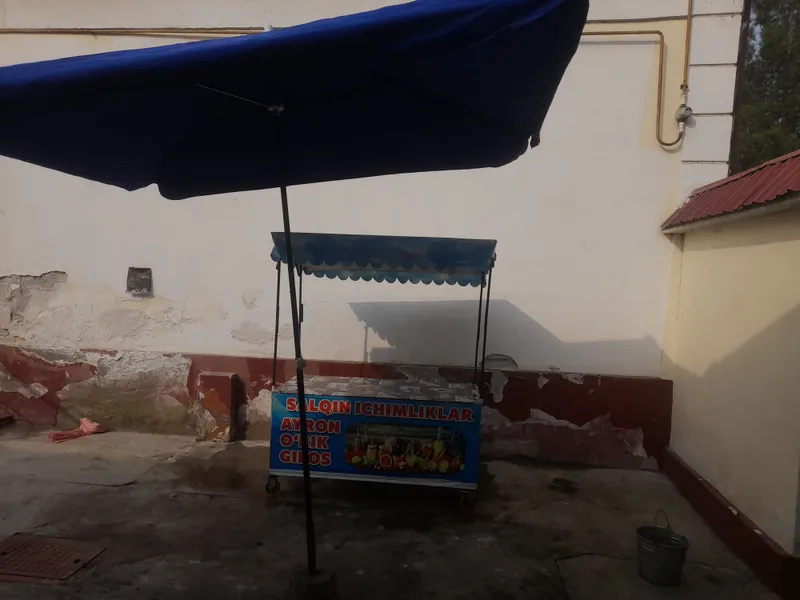 arava zo'ntigi bilan