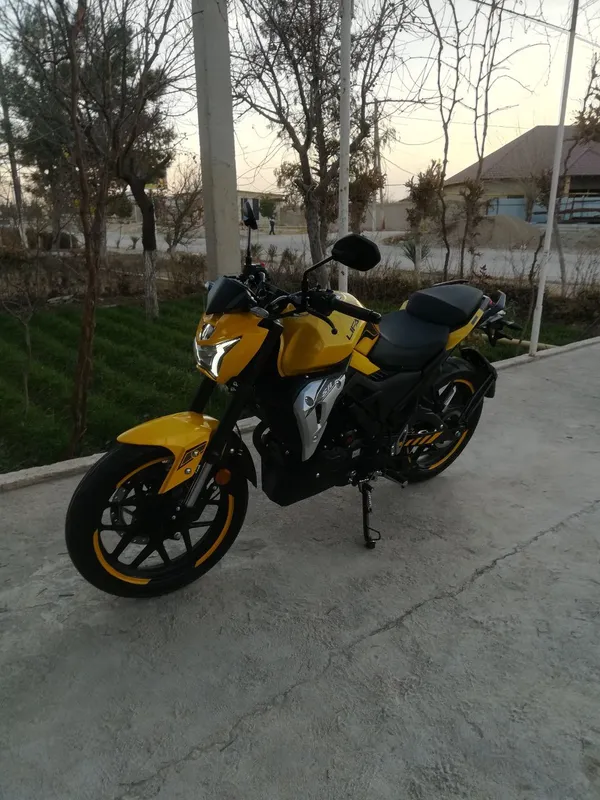 lifan sr220 Street