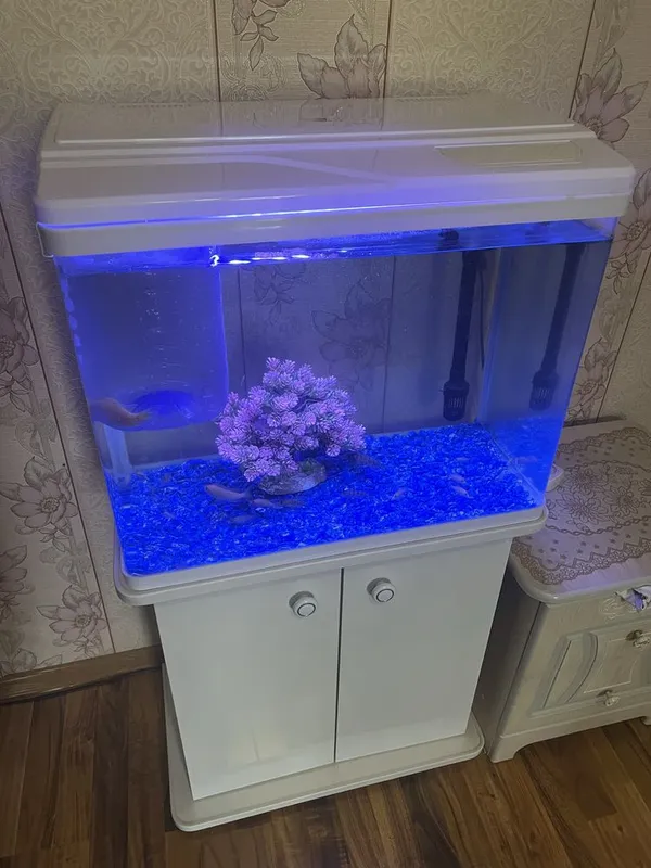 Akvariyum xitoy arginal akril sotiladi srochna xolati yengidey 3 Akvariyum xitoy arginal akril sotiladi srochna xolati yengidey 3