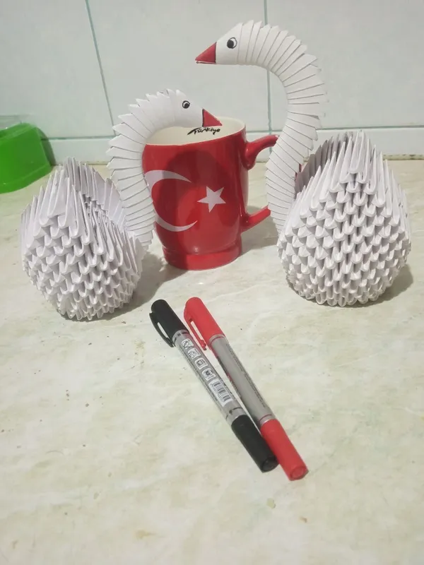 Oqqush cheksiz sevgi muhabbat
