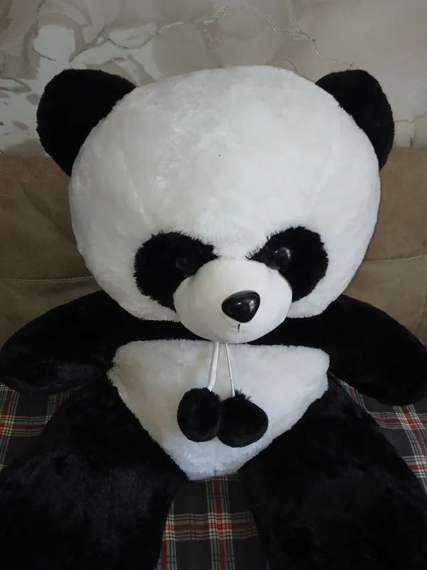 panda ayiqcha — фото 1