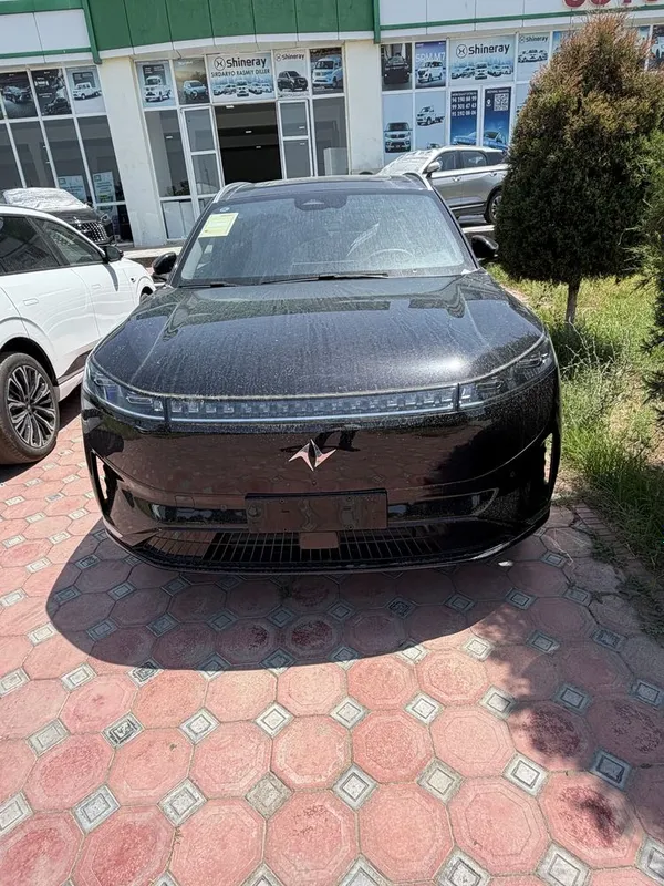 Dongfeng ep 008 max 1 Dongfeng ep 008 max 1