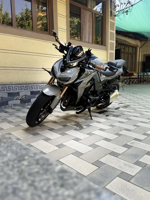Kawasaki Z1000 Хишник