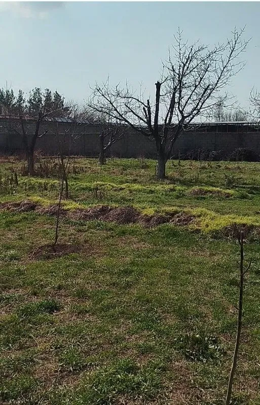 2 участка по 6 соток + по 2 сотке самозахвата на каждый участок — фото 1