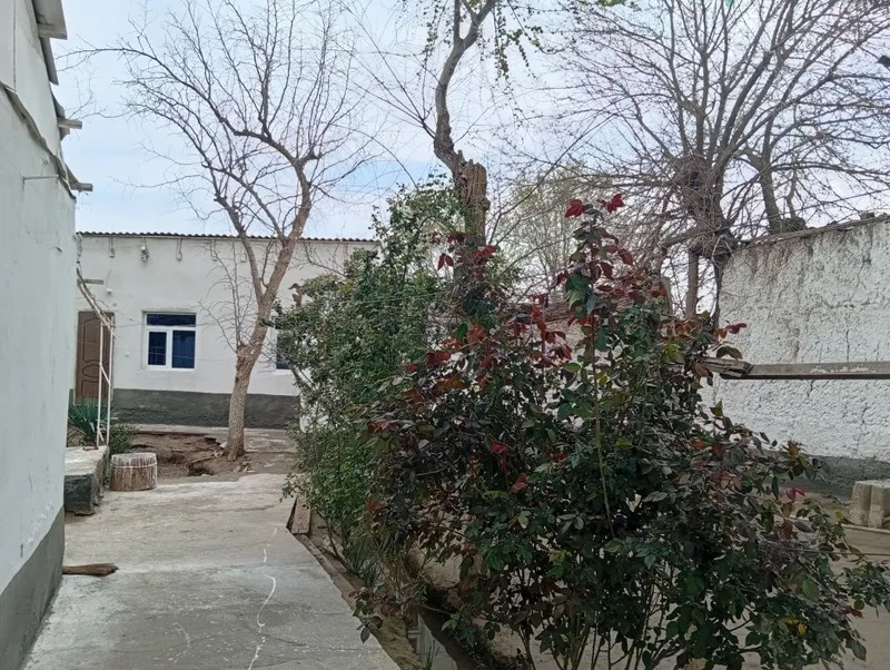 7 hona uy 23 sotix erli hovli sotiladi — фото 1